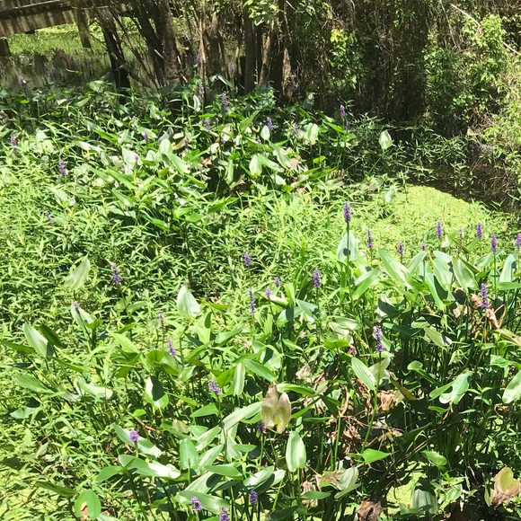 Meet your Posher, Kelly - Picture 1 of 1